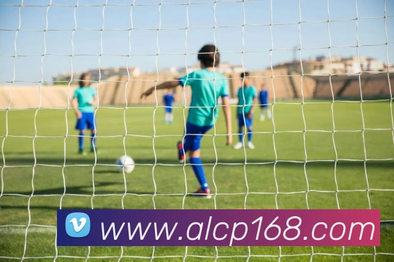 APP界面展示